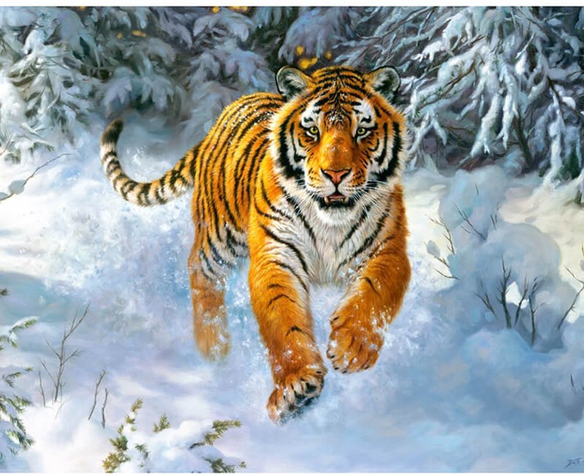 Diamond Painting Tijger in de sneeuw 50x70cm. (Volledige bedekking - Vierkante steentjes) diamondpainting inclusief tools