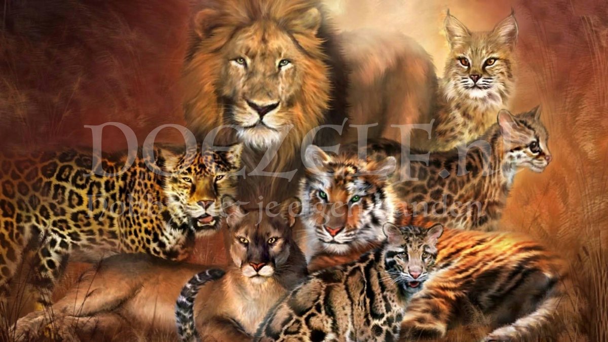 Diamond Painting Wilde katten 40x70cm. (Volledige bedekking - Vierkante steentjes) diamondpainting inclusief tools