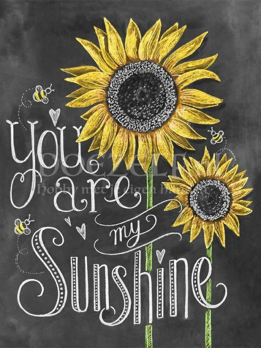 Diamond Painting You are my Sunshine 40x50cm. (Volledige bedekking - Vierkante steentjes) diamondpainting inclusief tools