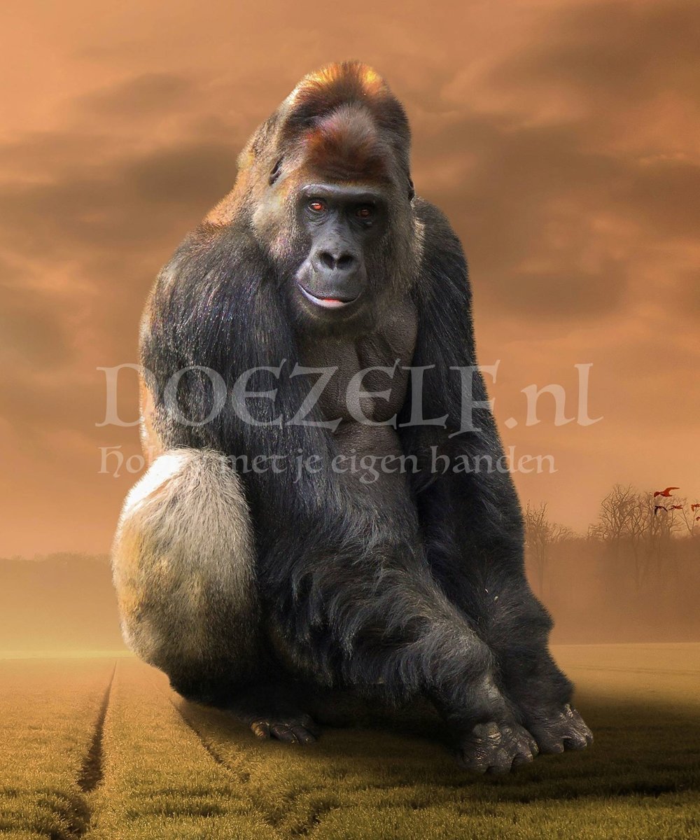 Gorilla Kong Diamond Painting 50x60 (Volledige bedekking - Vierkante steentjes)