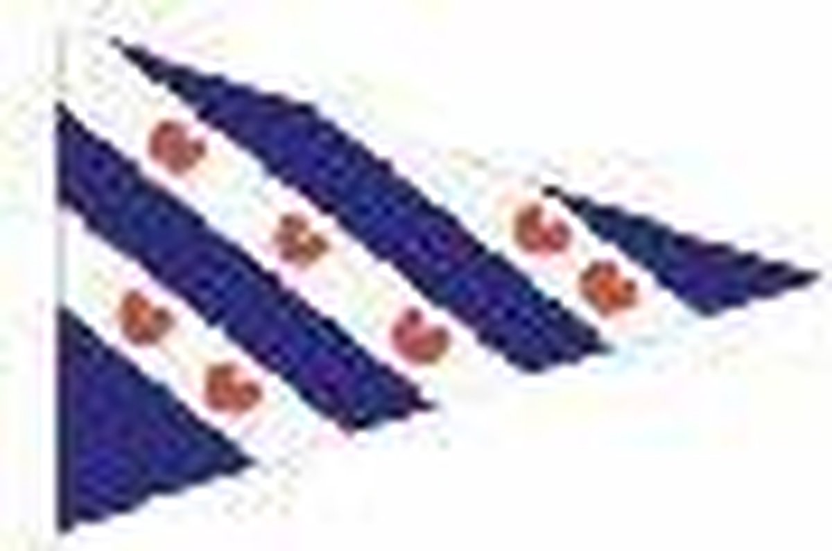 Friese vlag Puntvlag Friesland 40x60 cm punt