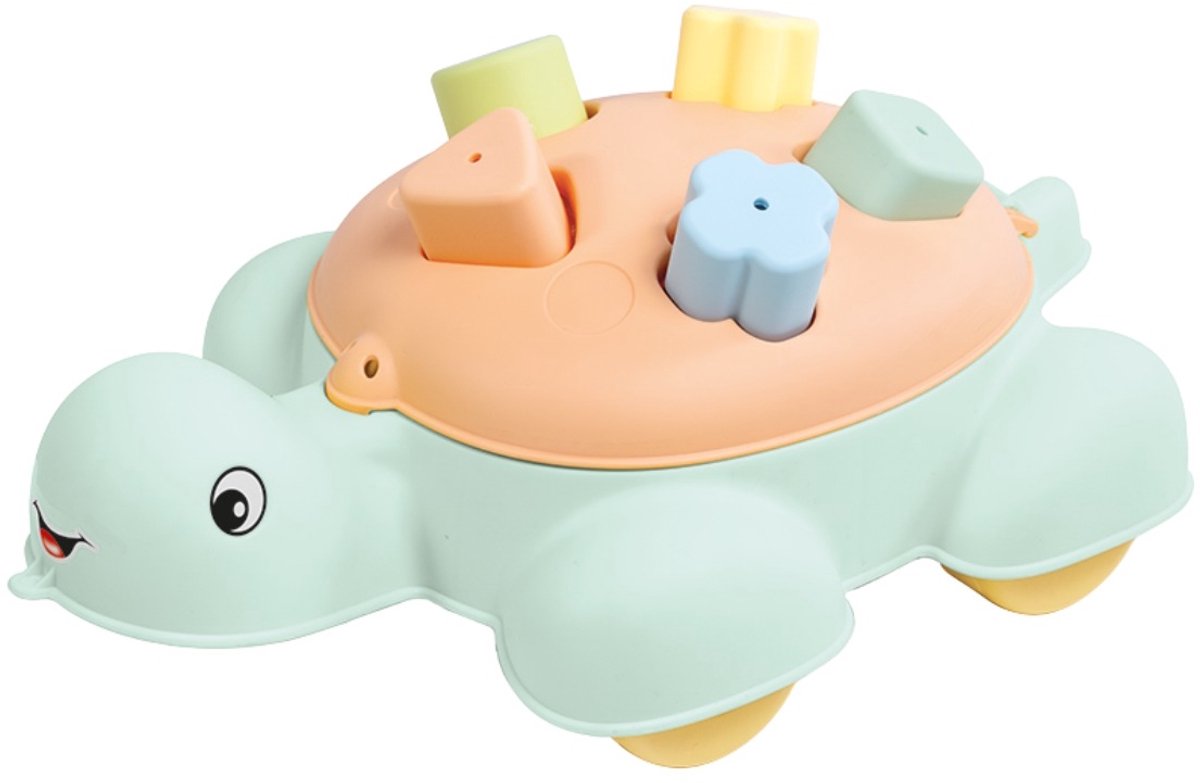   Pastel Schildpad   6116