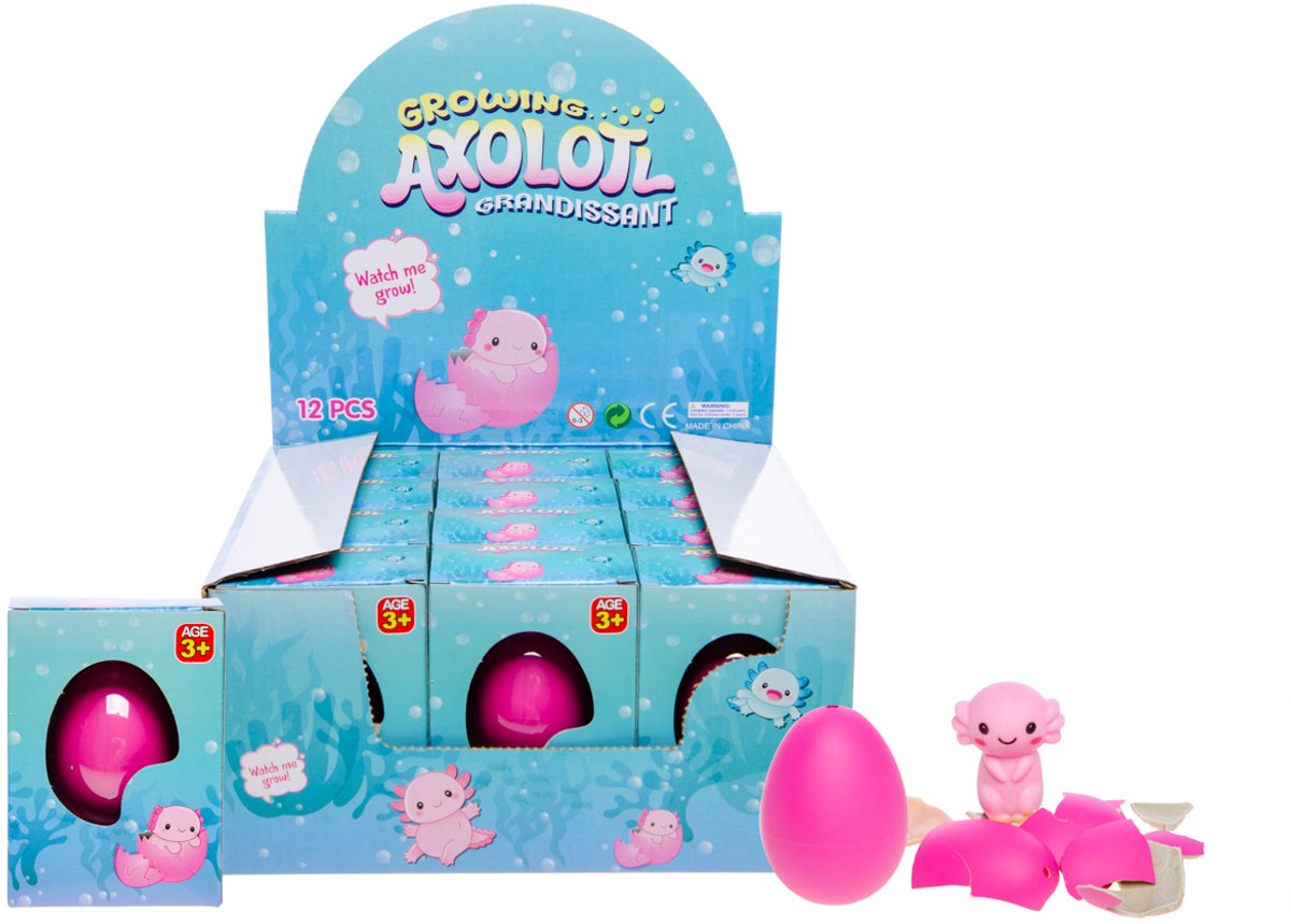   growing Ei axolotl - 1 stuk