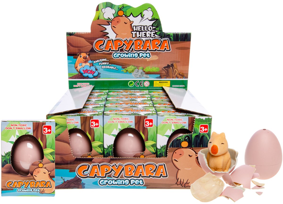   growing Ei capybara - 1 stuk