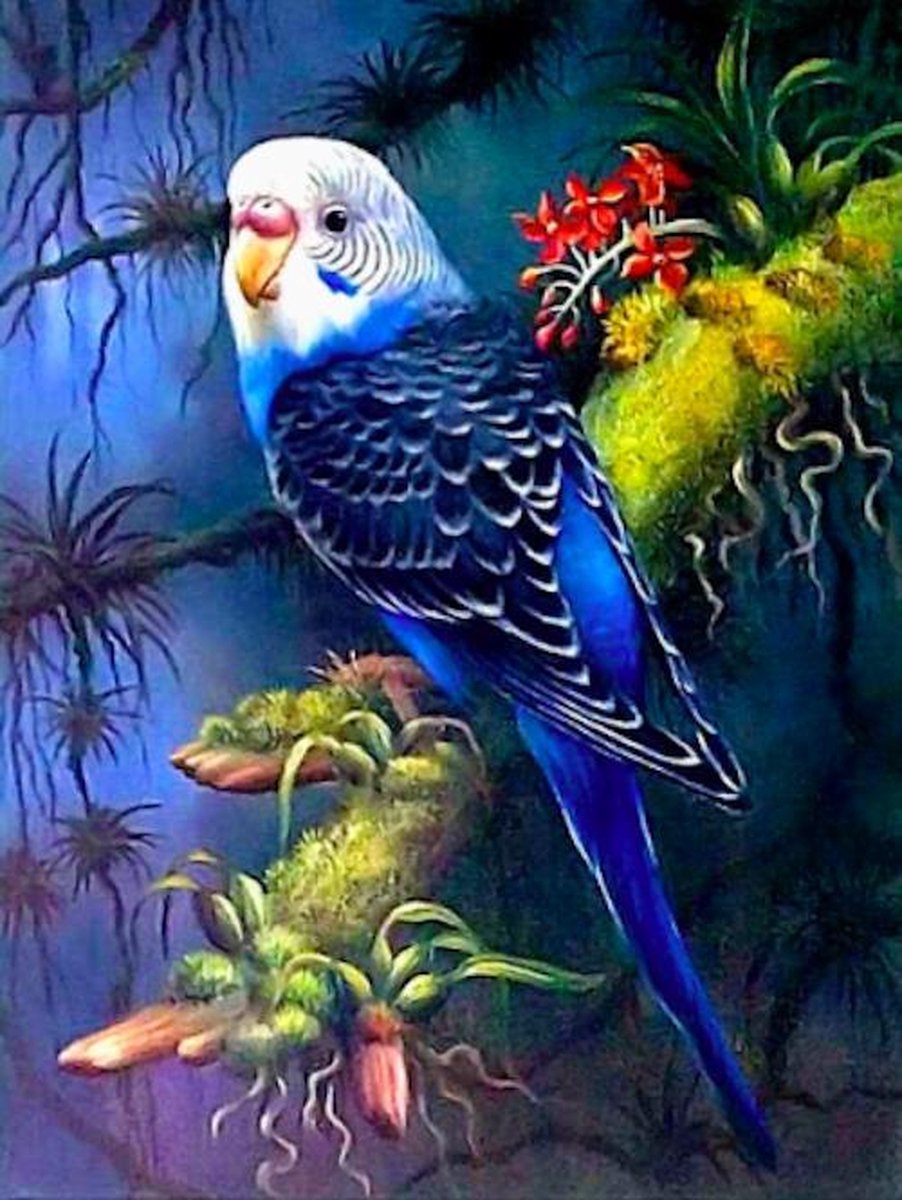 Diamond Painting -  Blauwe Parkiet / Vogel op boomtak  / Vogel liefhebber – 40x50 cm – Vierkante steentjes – Volledige bedekking. Compleet pakket inclusief tools.