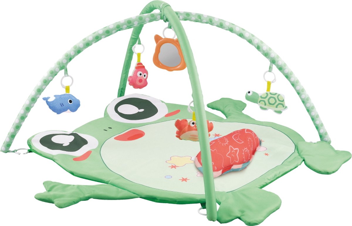 Eco Toys Kikker Activity Gym Speelkleed HC506649