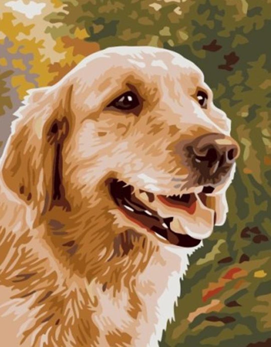 Eagle® Diamond Painting Volwassenen - Diamond Painting Kinderen - Golden Retriever - 50x40cm