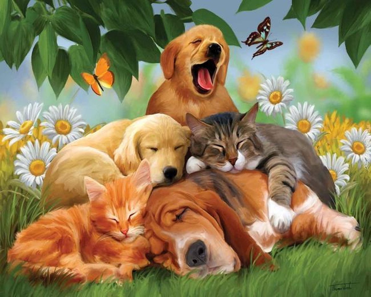 Eagle® Diamond Painting Volwassenen - Diamond Painting Kinderen - Slapende Honden en Katten - 50x40cm