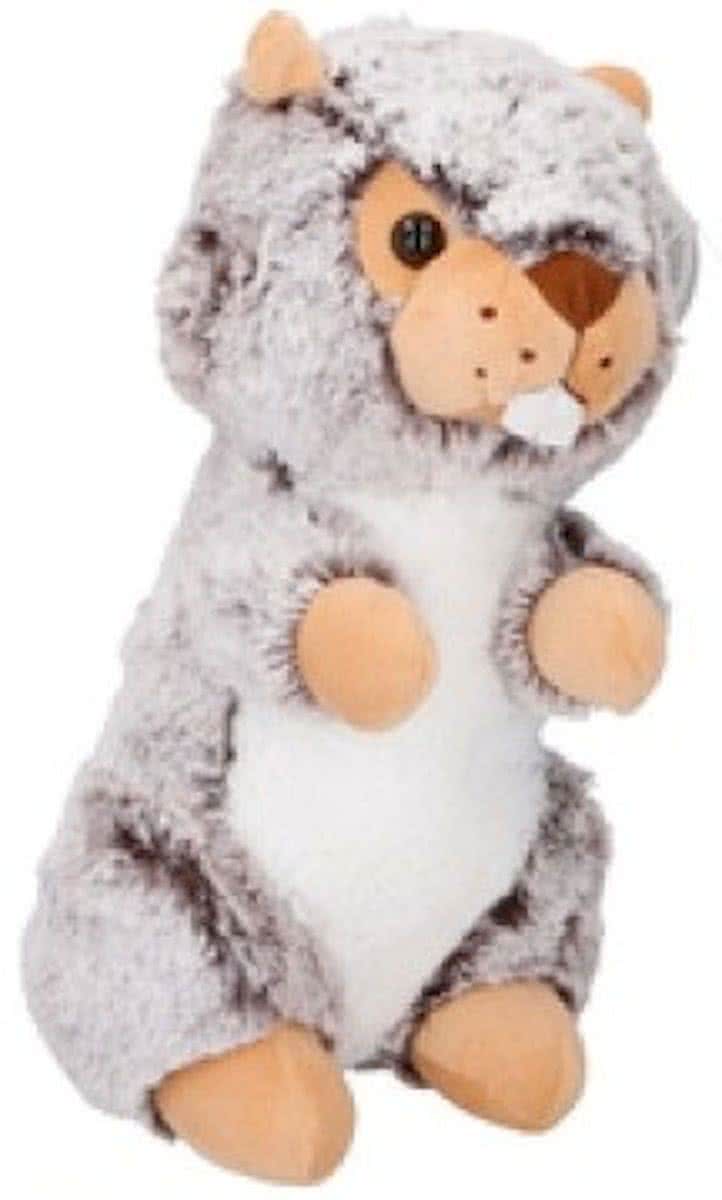 Eddy Toys Knuffel Otter Grijs 19 Cm