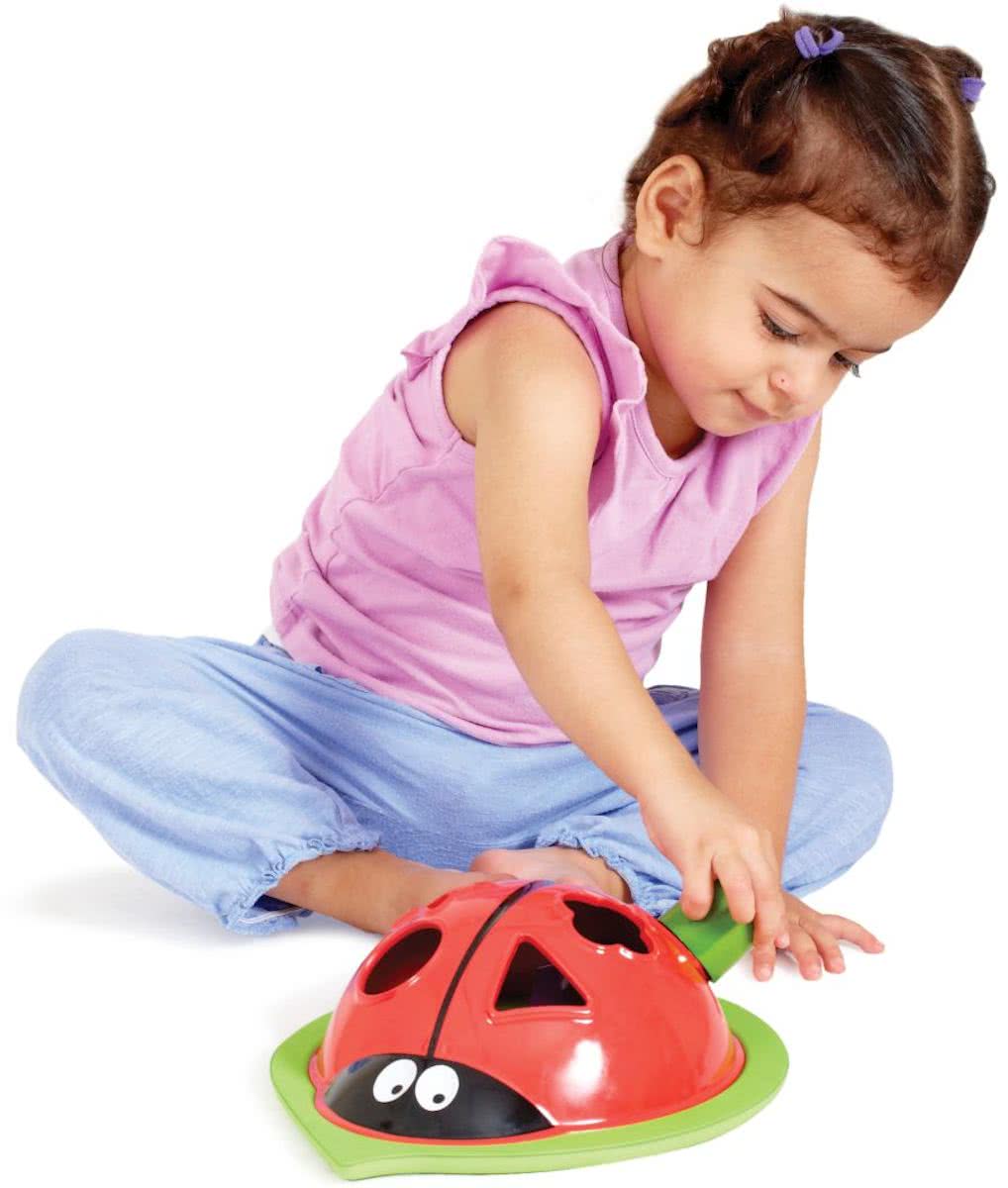 Ladybug Sorter