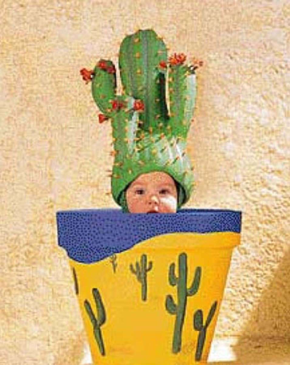 Cactus pot - Anne Geddes miniatuur