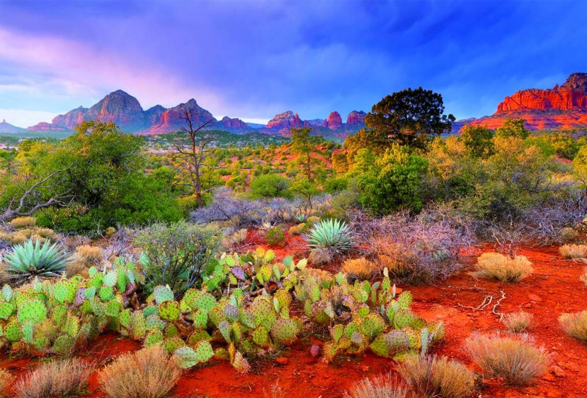 Educa Zonsondergang in Arizona - 4000 stukjes