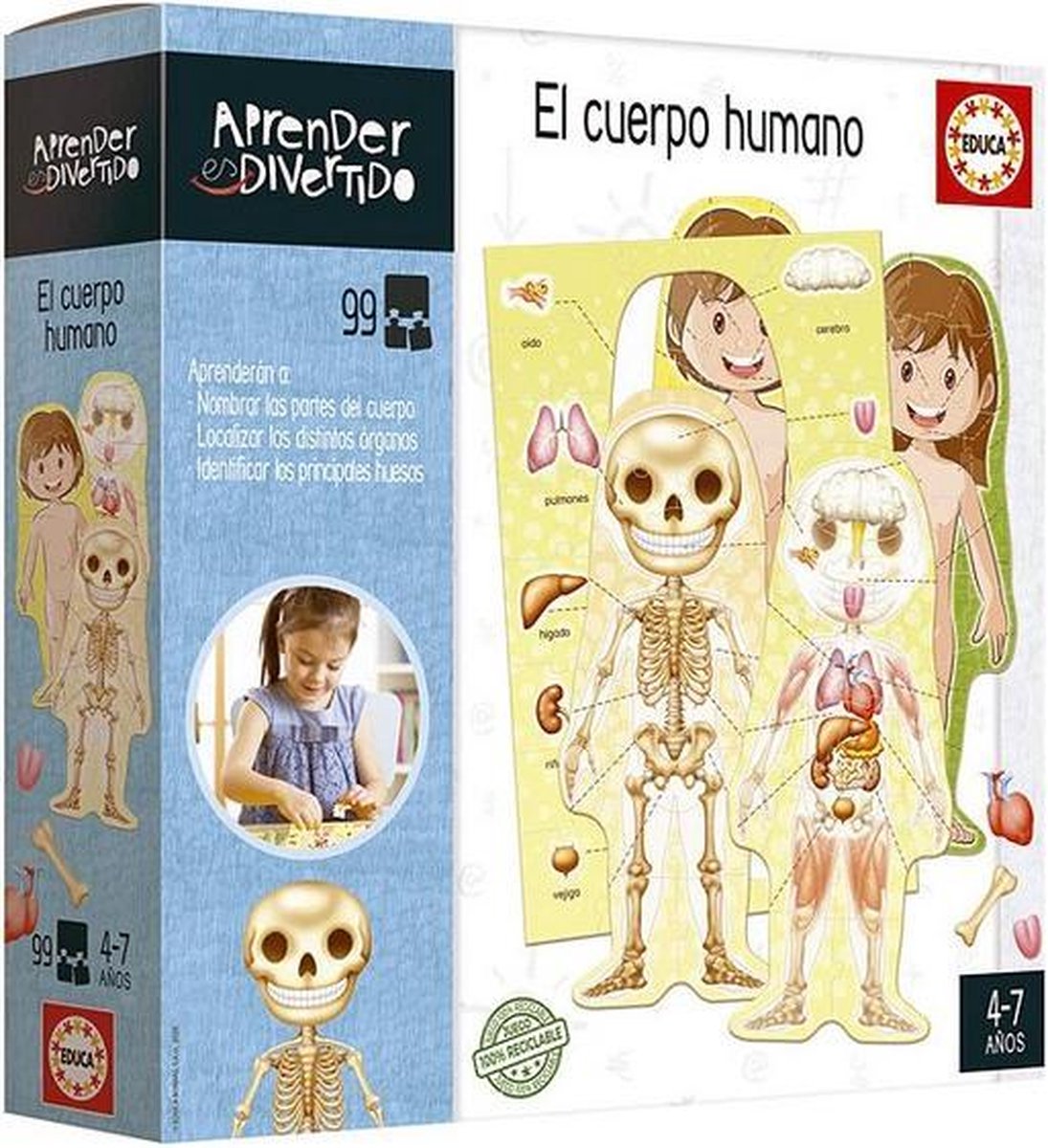 Educatief Spel El Cuerpo Humano Educa (ES) (ES)