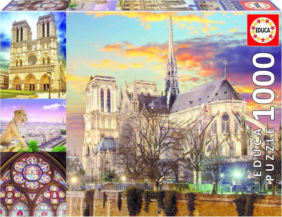 Notre Dame Collage (1000 stukjes)