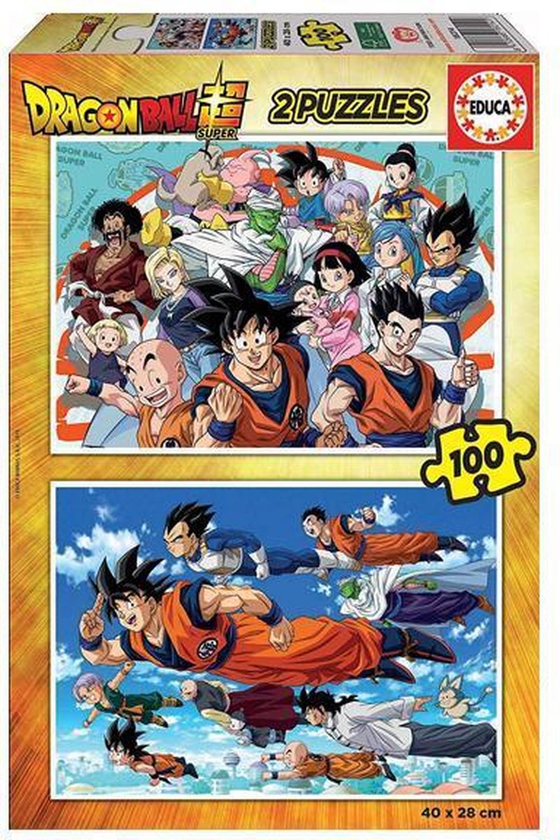 Puzzel Dragon Ball Educa (100 pcs)