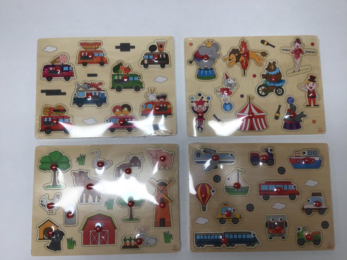 set van 4 puzzels Houten Knopjes steekpuzzel puzzel