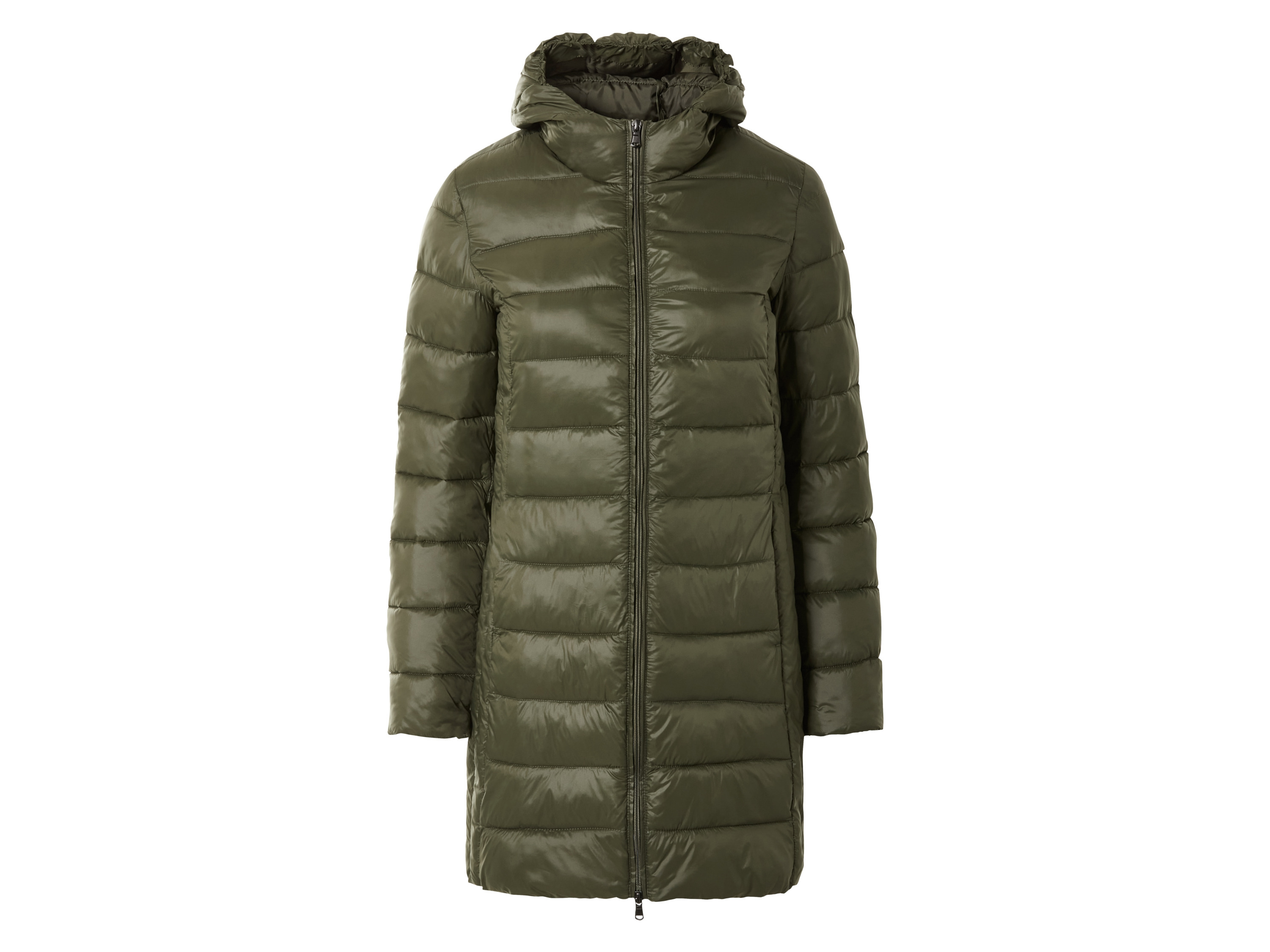 esmara Dames jas (Olijfgroen, L (44/46))