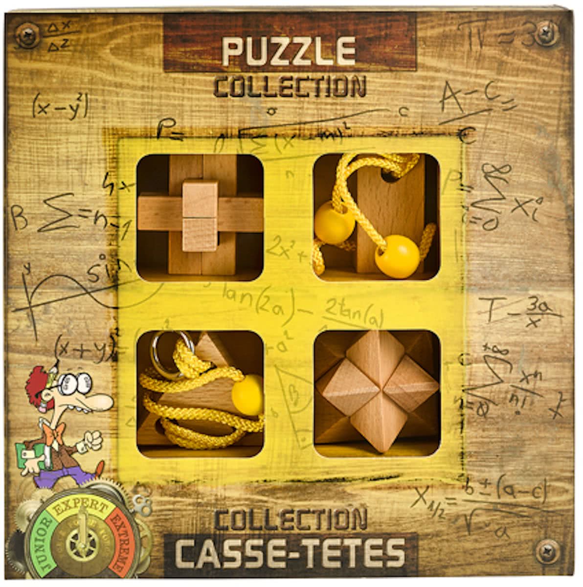 Expert Wooden Puzzles collection