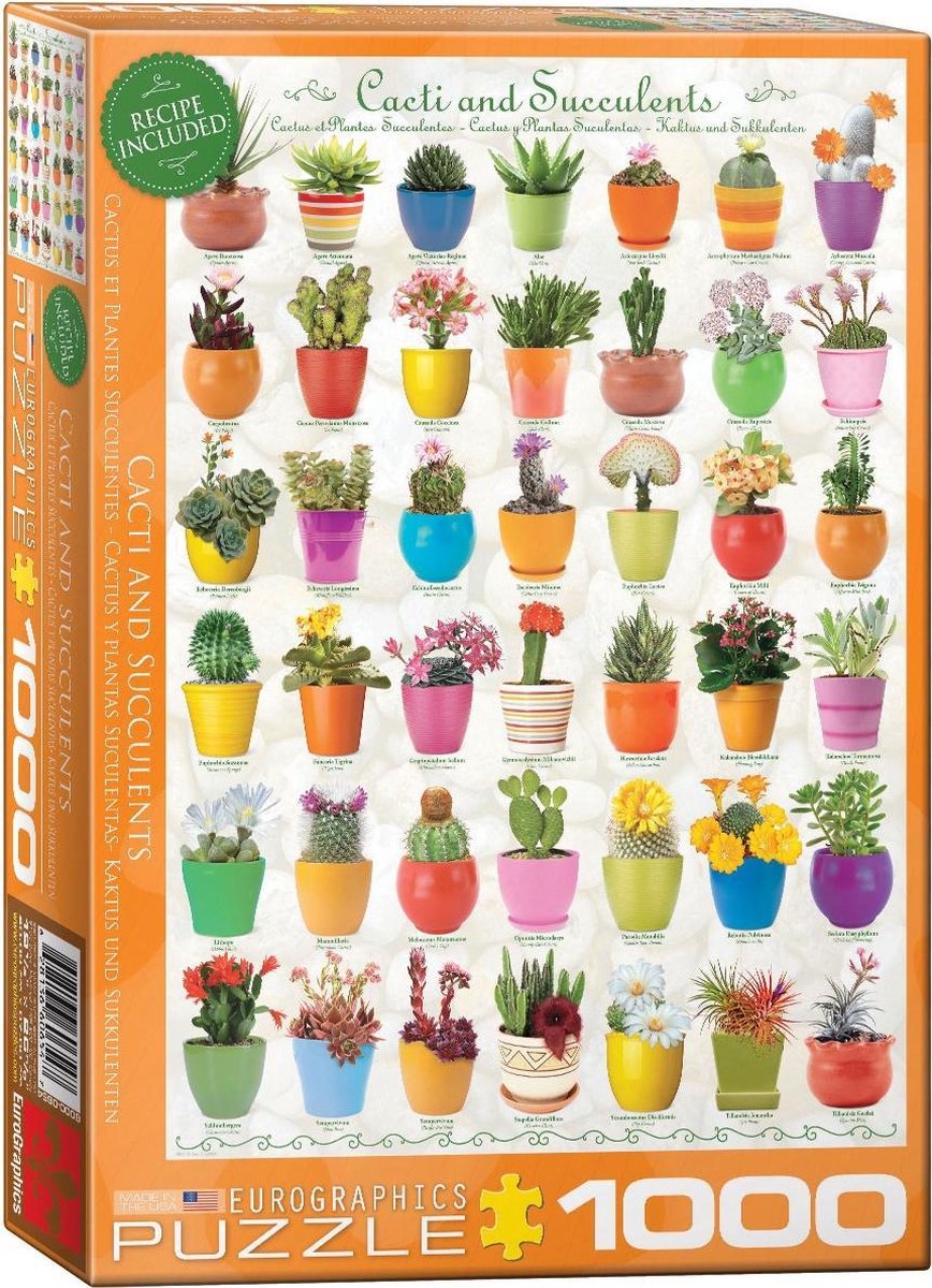 Eurographics Cacti & Succulents 1000pcs Legpuzzel 1000 stuk(s)