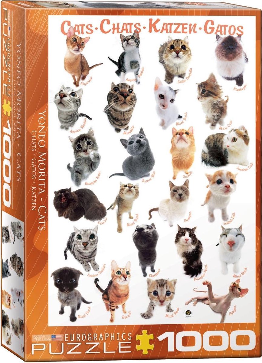 Eurographics Cats 1000pcs Legpuzzel 1000 stuk(s)