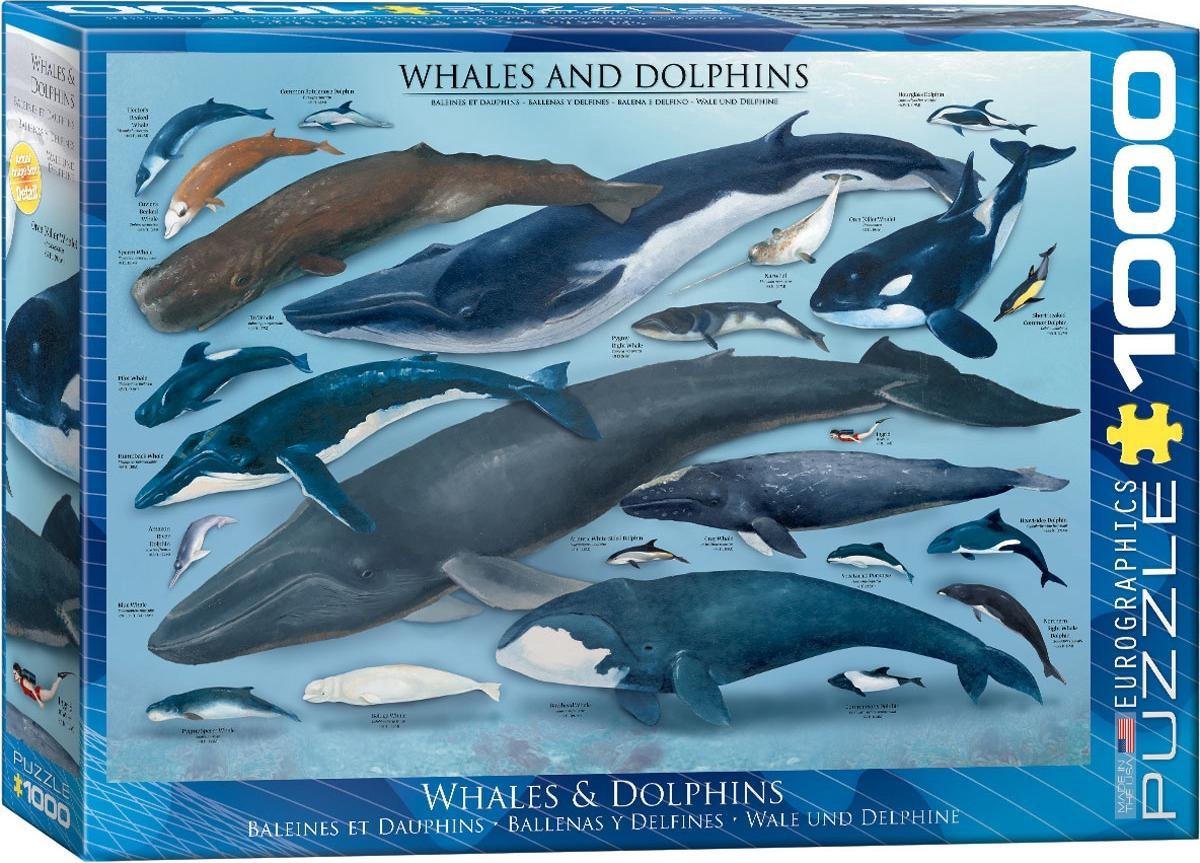 Eurographics Whales & Dolphins, 1000pcs Legpuzzel 1000 stuk(s) Fauna