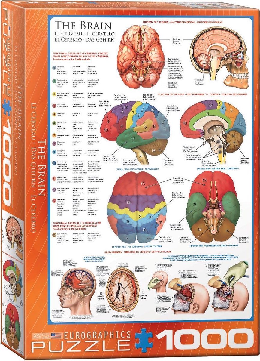 Eurographics puzzel The Brain - 1000 stukjes