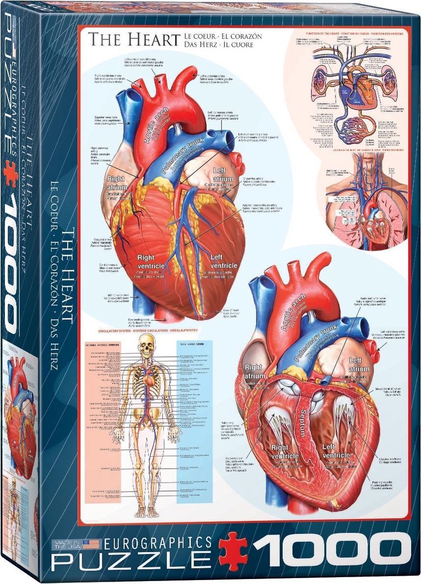 Eurographics puzzel The Heart - 1000 stukjes