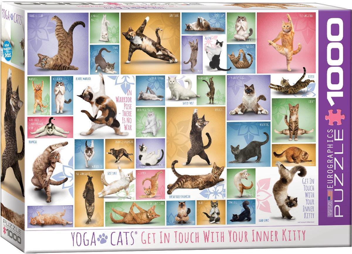 Puzzel - Yoga katten - 1000st.