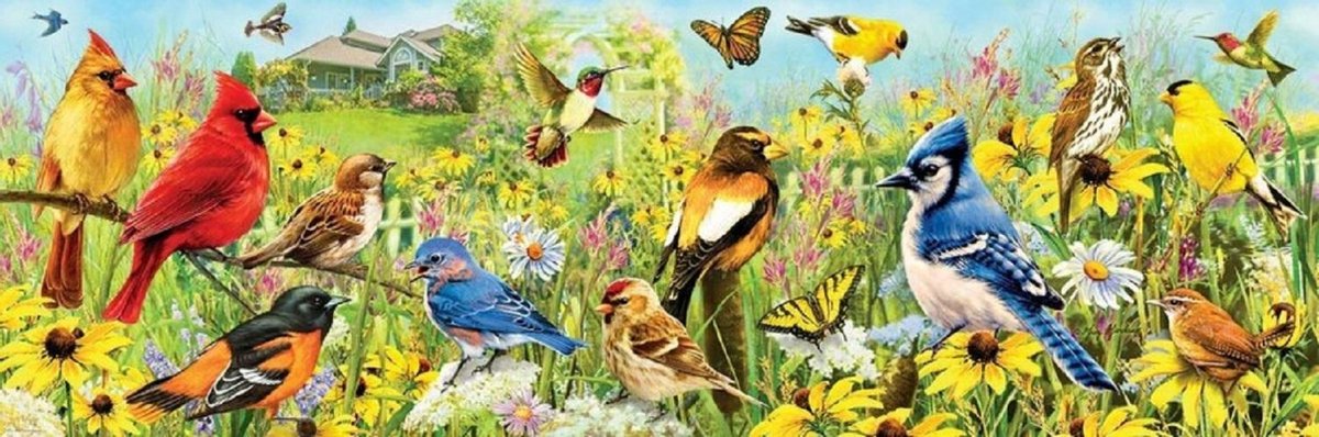 Puzzel 1000 stukjes PANORAMA - Garden Birds - Greg Giordano