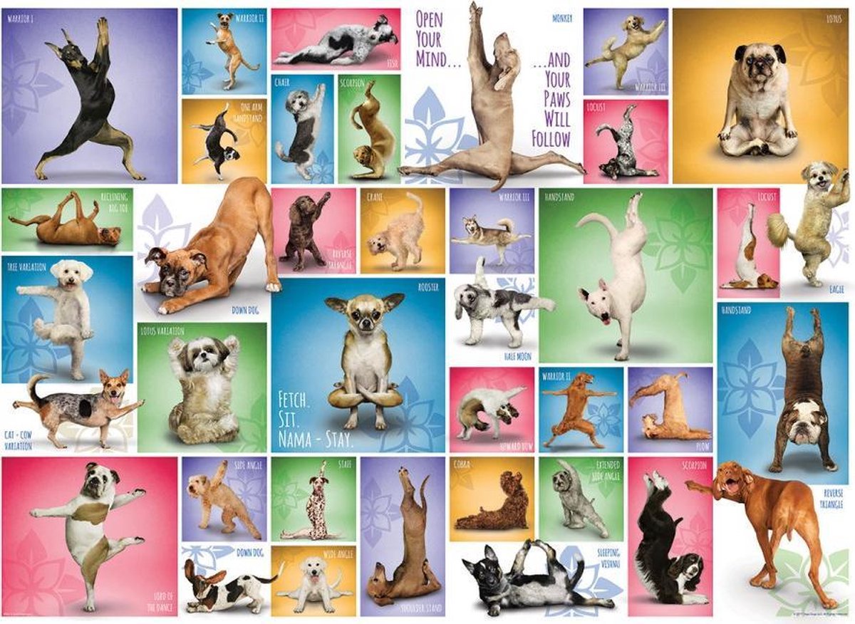 Puzzel 1000 stukjes-Yoga Dogs