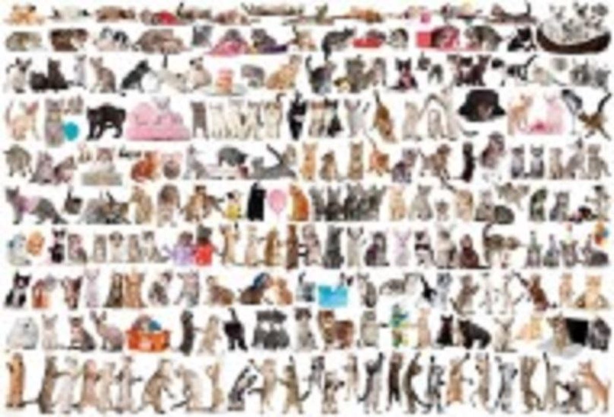 puzzel Eurographics The world of cats