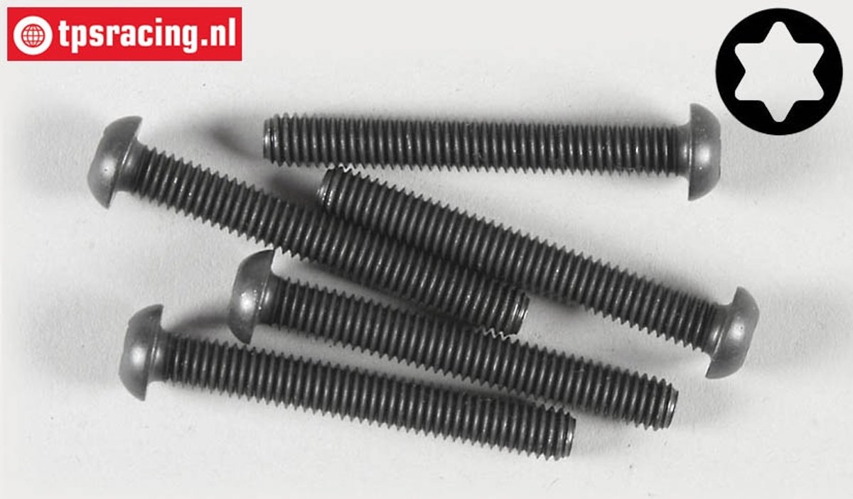 Torx bolkop (M6-L45 mm), (Staal), 5 St.