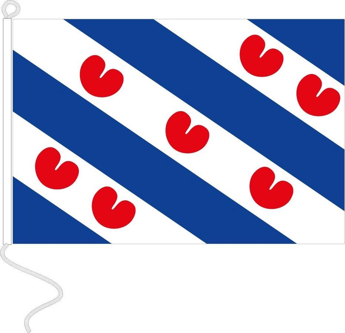 Vlag Friesland 20x30 cm.