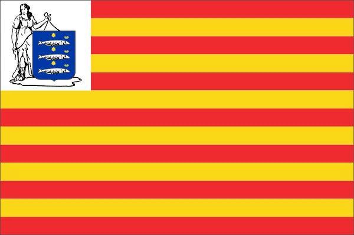 Vlag gemeente Enkhuizen 70x100 cm