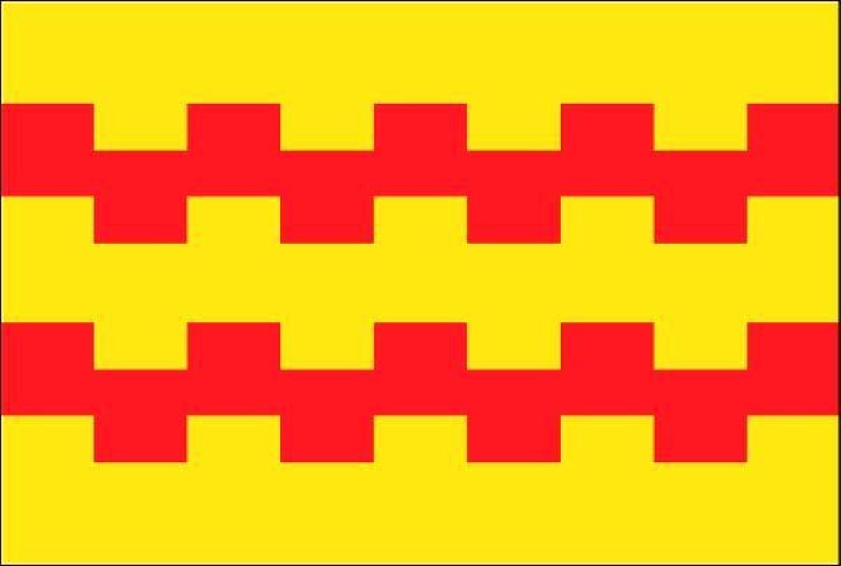 Vlag gemeente Leerdam 70x100 cm