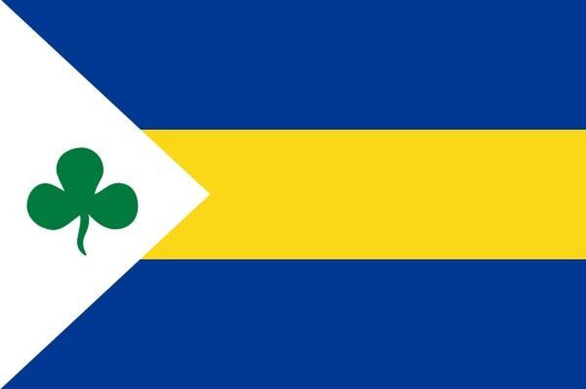 Vlag gemeente Leeuwarderadeel 70x100 cm