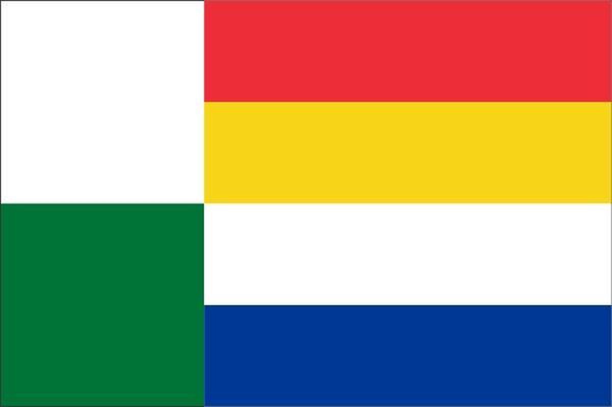 Vlag gemeente Oss 70x100 cm