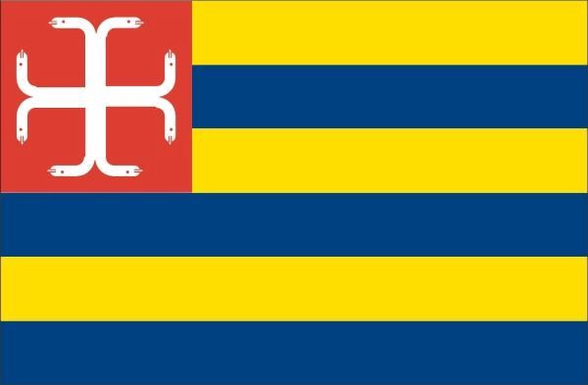 Vlag gemeente Schinnen 200x300 cm