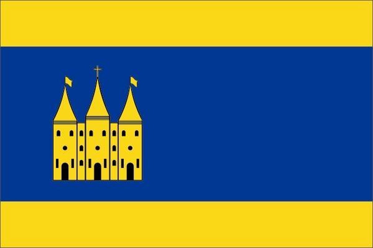 Vlag gemeente Staphorst 200x300 cm