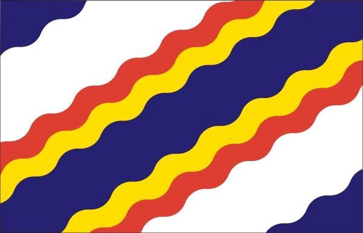 Vlag gemeente Ten Boer 70x100 cm