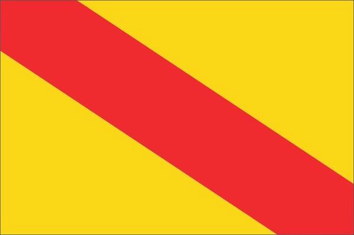 Vlag gemeente Ubbergen 70x100 cm