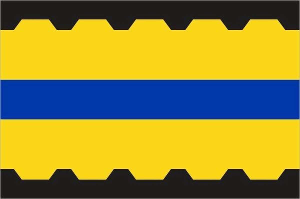 Vlag gemeente Veenendaal 150x225 cm