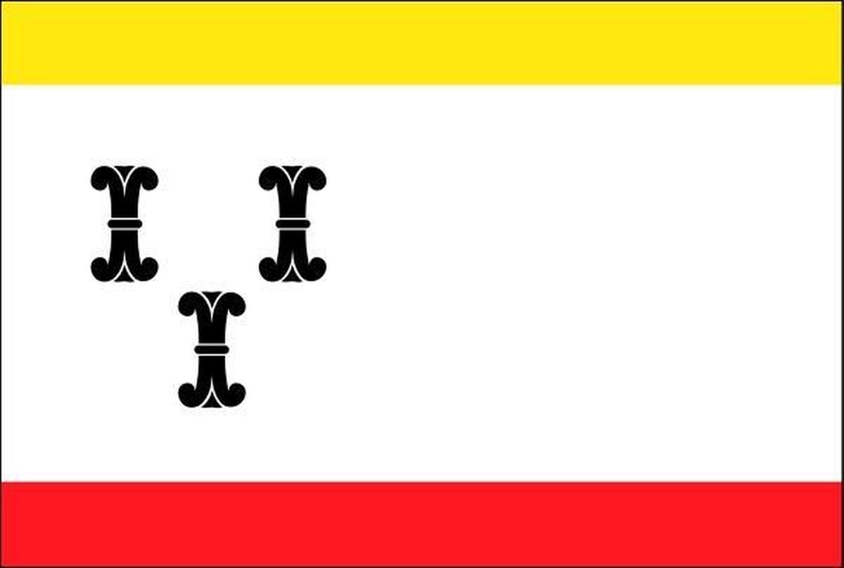 Vlag gemeente Vianen 100x150 cm