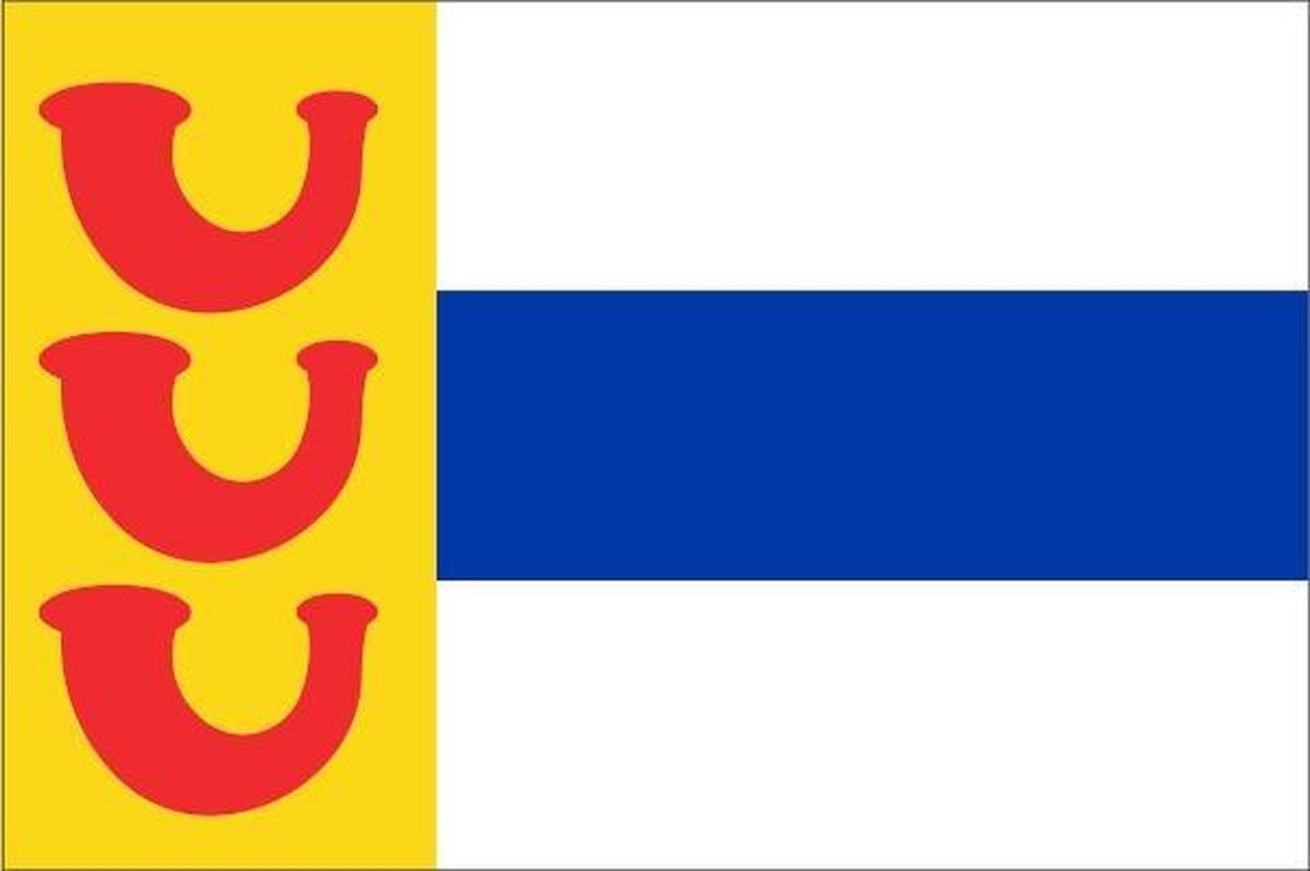 Vlag gemeente Weert 70x100 cm