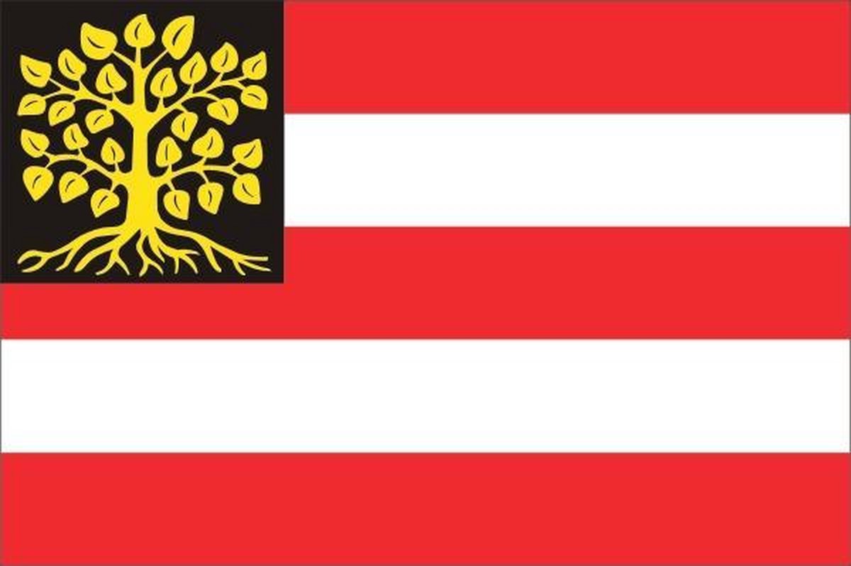 Vlag gemeente s-Hertogenbosch 70x100 cm