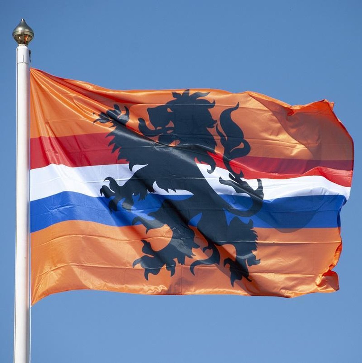 Vlag oranje R/W/B + Leeuw 100x150 cm