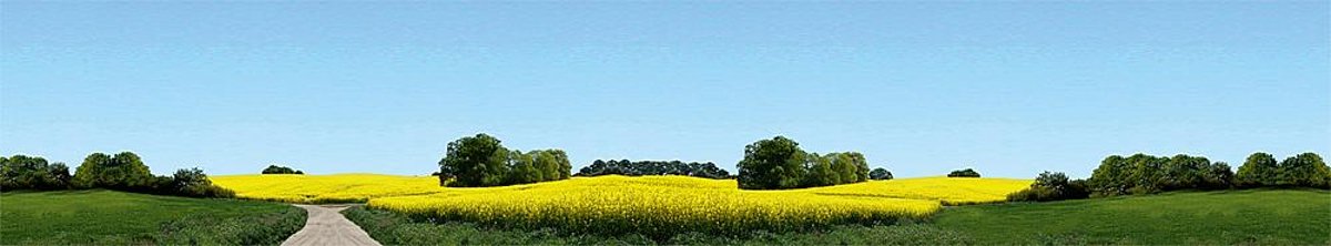   -Modelachtergrond Ostholstein (180504)