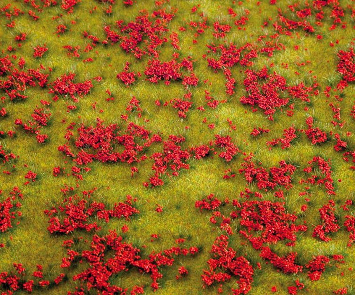   -PREMIUM Landschaps-segment, Bloemenweide, rood (180460)