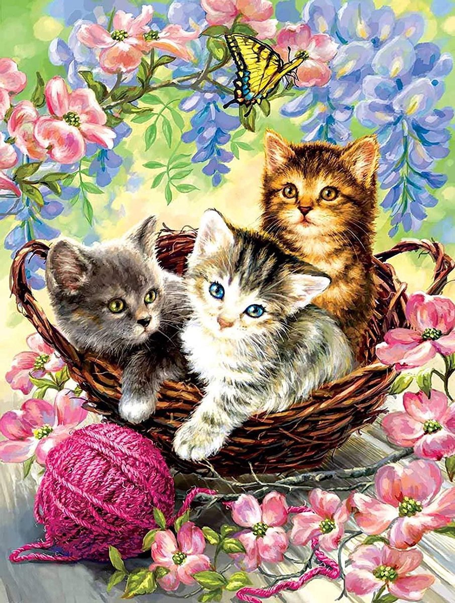 Diamond Painting Volwassenen Katten – Diamond Painting Kinderen - 40x30cm – Ronde Steentjes – Accessoires – Pen - Volledige Pakket - Dieren - Poes