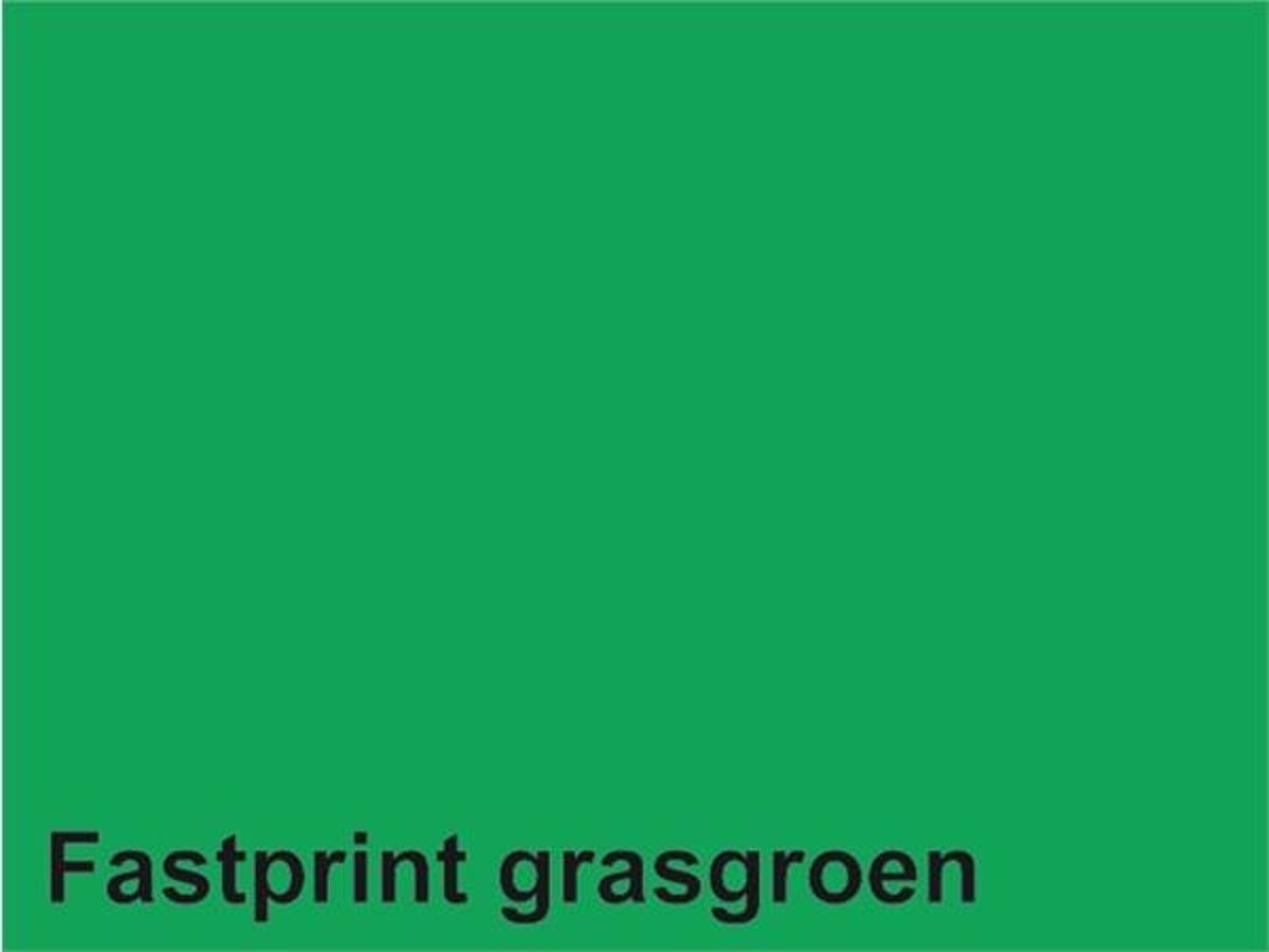 Gekleurd Papier A4 160gr FP Grasgroen 50vel